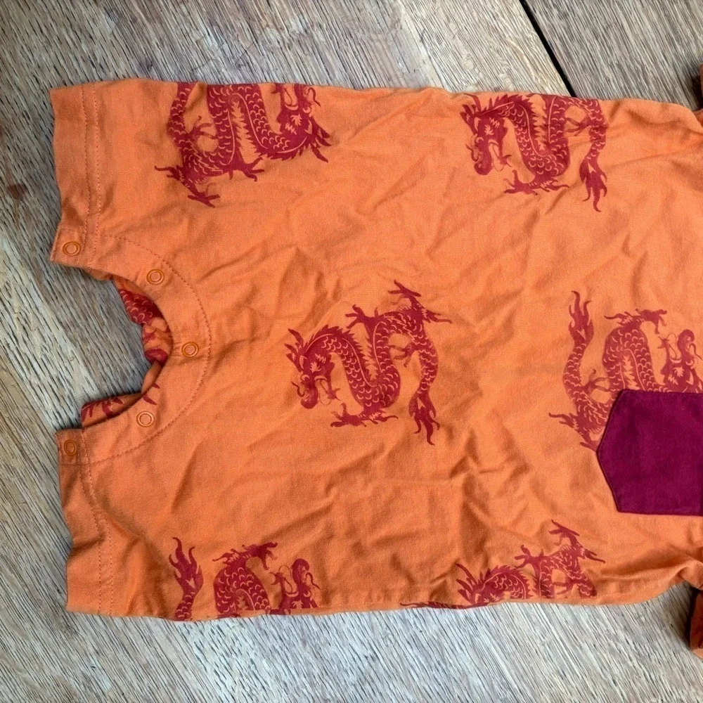 Tea Collection Dragon Pajamas 12-18m